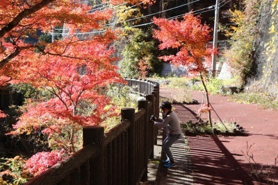 okutama_drive1111_6.jpg